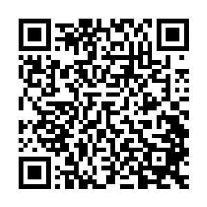实际上不仅是血族中借助这次事件对内部异己进行大规模的清理二维码生成
