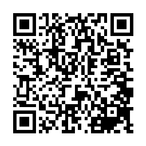 实际上他根本没有指望这个车行有参加死亡飞车的车辆二维码生成