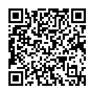 实际上刚才被林锐用枪顶住的时候他就在蓄势出击二维码生成