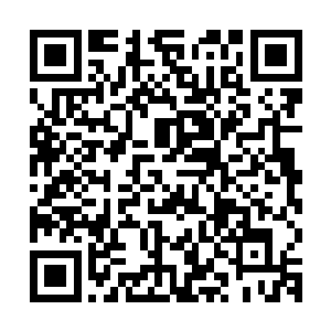 实际上却是在利用芯片扫描着这些寒冰智慧生物的信息以及数据二维码生成