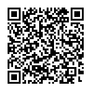 实际上号称全世界军事力量排名二十多位的费率滨到底有多大的军力呢二维码生成