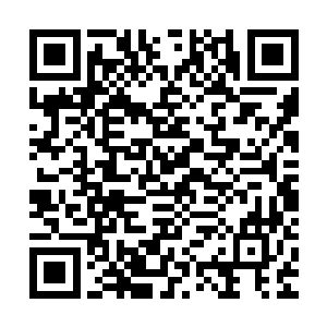 实际上我也认为我们基层政府也没有管理具体企业的责任和义务二维码生成