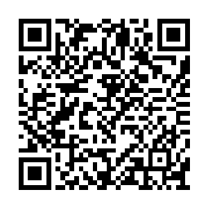 实际上我们的主体机甲工程正准备完成最后测试二维码生成