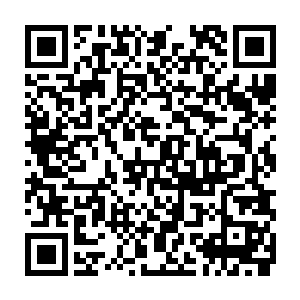 实际上资质测试只不过是让他们几个老家伙稍微知道一些重要的天才罢了二维码生成