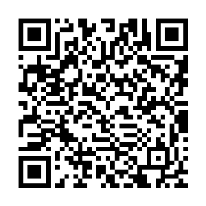 实际上还是不信任他们两个不希望在他们两个身上折损人手吧二维码生成