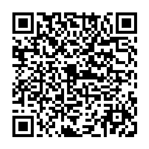 实际上这次测试也只是在京城这个世子智能系统普及最广的城市内做实验性测试二维码生成