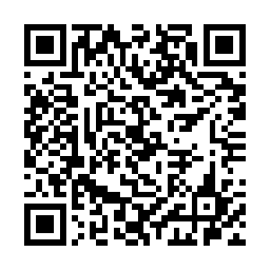 审讯专家也终于撬开了那名在实验小学行凶歹徒的嘴二维码生成