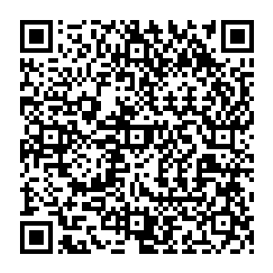 客人们来到王府观看完两位小世子和小公主的抓周仪式稍事休息就可以直接参加晚上的晚宴了二维码生成