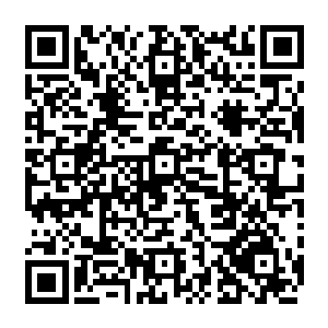客厅的地上还有一段被踩的细碎细碎的碎肉……秦方隐约也猜到了那是什么东西了二维码生成