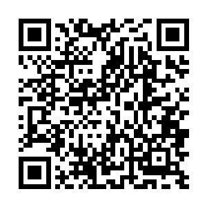 客厅里只有管家将秦景宴扔在沙发上的衣服仔细收起来二维码生成