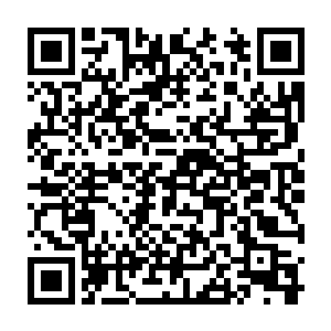 客厅里肖丽红和叶飞燕两个人肆无忌惮的讨论着下个月底婚礼的事情二维码生成