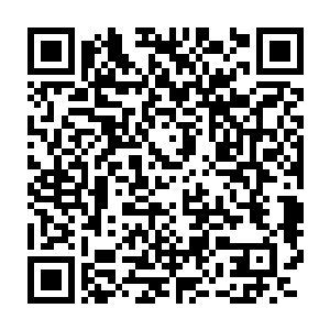 客厅里遍地都是我画完格局定位作分析而后又觉得不妥扔掉的草纸二维码生成