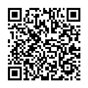 客舱之内的旅客们非但没有对此次的突发状况有半丝怨言二维码生成
