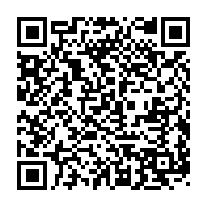 宣称其他所有玩家都是你的同伙……这些行动对我没有任何影响是吗二维码生成