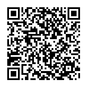 害死了我的同学害死了我曾经的女朋友现在又差点害死我最在意的师姐许诺二维码生成