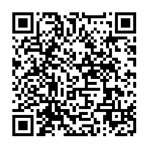 宴会的内容大体就是一帮走投无路的人用自己剩余的人生进行大金额的赌博而已二维码生成