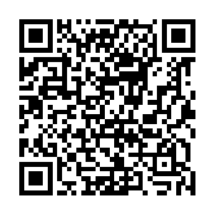 家中力量比苏家差的往往不会愣头青的完全不给宁毅面子二维码生成
