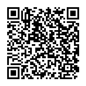 家主龙世雄狠狠瞪了龙世尊和仍得意洋洋站在竞技台上的龙无良一眼二维码生成