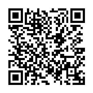 家里有请专门为客人拧行李开门以及打扫卫生的服务员二维码生成