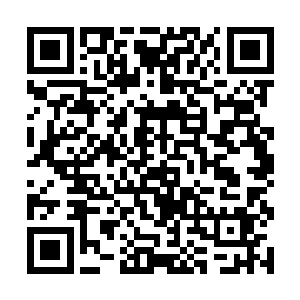 宸王的目光在孤狼皓腕之处的手镯微微停留了两秒钟二维码生成