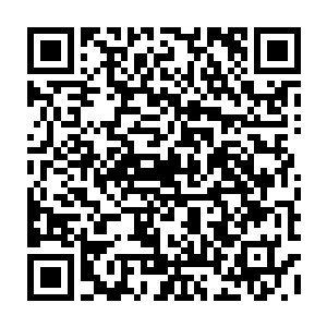 容貌竟非常艳丽的韩族长看着易红仙人说了一下他和血妖姬们一行的大体情况二维码生成