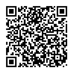 容锦的目光落在已经鹊起兔落般与侍卫们再度缠斗在一起的凤卫们二维码生成