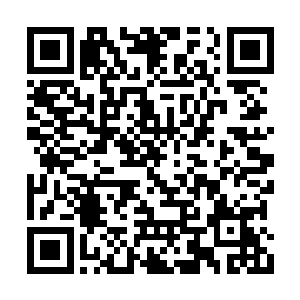 容锦看着一脸认真与他探讨怎么伤李逸辰的燕离二维码生成