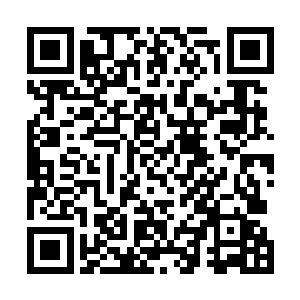 宿主对于力量的掌握能力和承受能力也得到了巨大的提升二维码生成