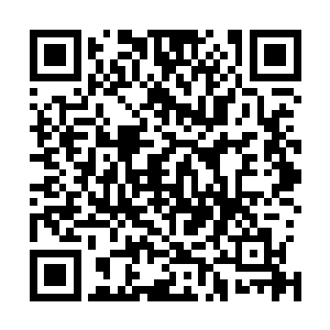 密不透风的菌毯杀灭了庄稼和人类赖以生存的绝大多数植物二维码生成
