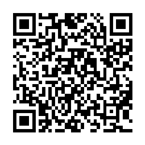 密密麻麻覆盖满细小绿色鳞片的拳头散发着一股蒙蒙光晕二维码生成