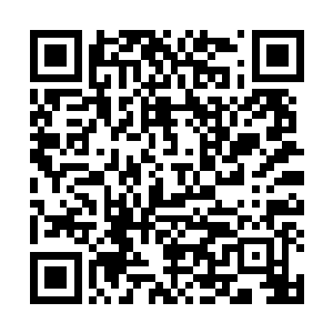 寸寸肌肤浮现着他留下的暧|昧的粉红痕迹呈现在他的眼前二维码生成