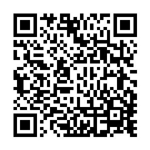 对上品圣域绝学的理解和掌握以一种不可思议的速度增长着二维码生成