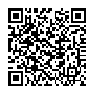对不起……看样子你的同胞们不太在乎你的生死啊二维码生成