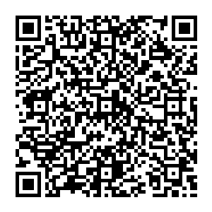 对了　忘了跟你介绍　我们是四极宗的弟子　她是宗主的女儿　我是四极宗的内门弟子　叫我李玉师兄就可以了　二维码生成