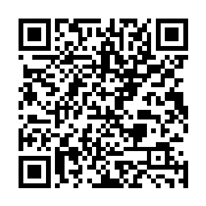 对于一星武宗境的这种弱小的气势威压早就不再十分过敏了二维码生成