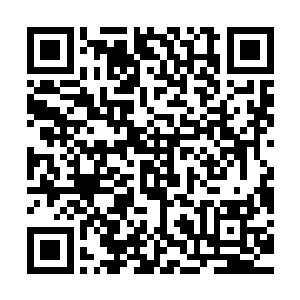 对于九伯刚才目光在我身上顿住几秒时候的皱眉倒是没心思追究二维码生成