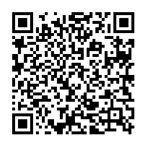 对于出去面对一堆麻烦还是死皮赖脸的无视强制任务留在这儿起码一个月二维码生成