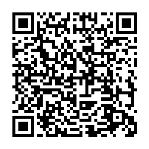 对于四大真界的人來说重塑世界无疑是给他们注入了一股全新的生机以及希望二维码生成