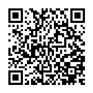 对于地缝中为什么会出现如此恐怖的攻击他们心中也是十分的疑二维码生成
