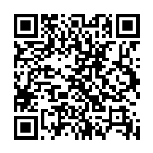 对于夏云杰所说的要在他们地盘开商号也都表示欢迎和支持二维码生成