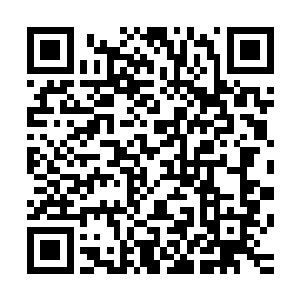 对于天运至尊安排的任何事情都会当成是毕生使命去拼命完成二维码生成