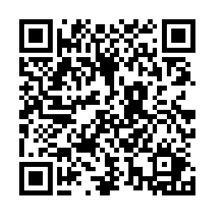 对于小青的压力龙皇微微的动用了体内的能量就抵抗了下来二维码生成
