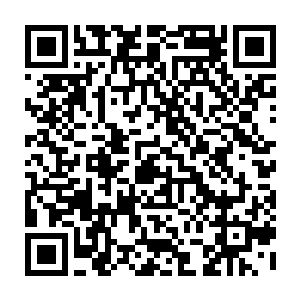 对于这一路已经惹毛龙公主敖樱兰被揍的好几次的老乌龟那不长记性的嘴瓢事件二维码生成