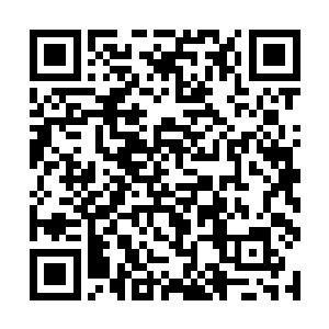 对于这个能够以神级实力召唤出不朽四翼天使的存在二维码生成