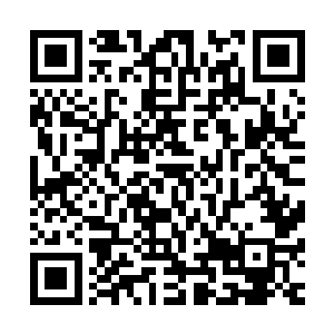 对于这位国家游泳队才升任上去的副总教练影响实在是太大了二维码生成