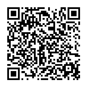 对于这样的蝼蚁就算让他一天杀死几百只他都不会有任何心理波动二维码生成