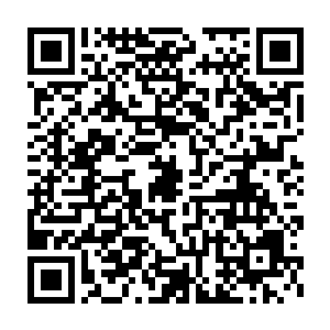 对于金剑门这等规模的门派而言绝对是一条蕴藏着惊天财富的矿脉二维码生成