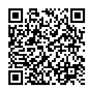 对于陆为民他虽然因为上一次招商引资会议上的事情而心怀积怨二维码生成