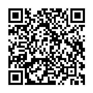 对他说我和切萨雷的争吵感觉并不好――他也是切萨雷的客户二维码生成