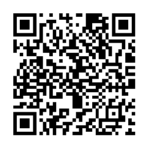 对付着两个只会一些搏击术的保镖那还是完全没有任何的问题的二维码生成